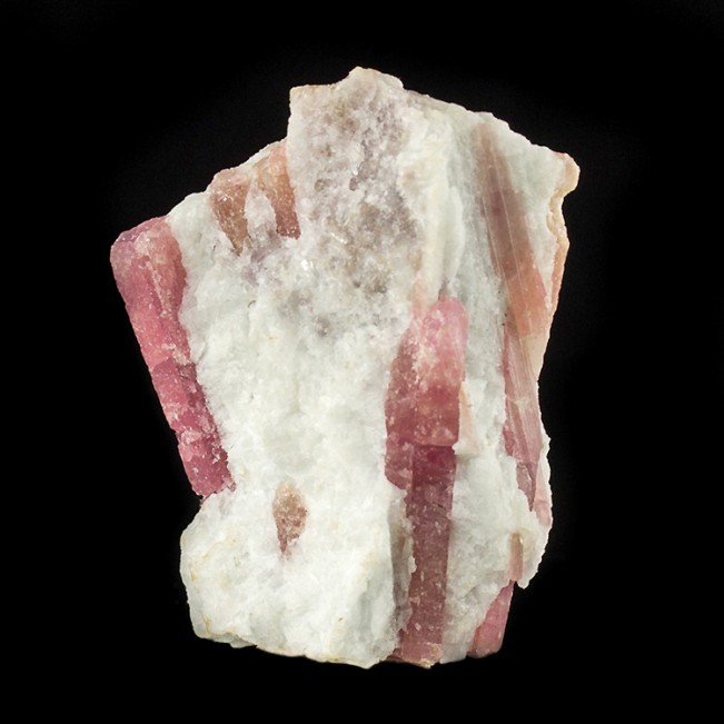 2.7" Magenta Rose Rubellite TOURMALINE Crystals in Milky Quartz Brazil for sale