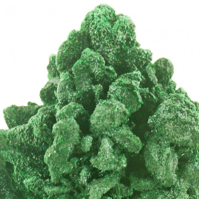2.7" Silky FIBROUS MALACHITE Scintillating Fibrous Green Crystals Congo for sale