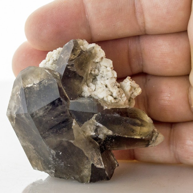 2.5" Sharp Clear SMOKY QUARTZ Crystals Moat Mtn NH ex-Ernie Schlichter for sale