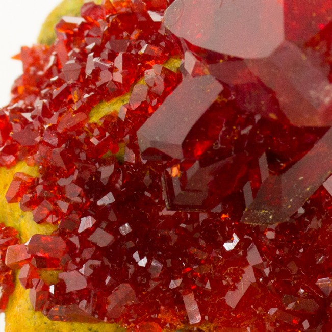 2.1" Gem Clear Cherry Red PRUSKITE Shiny Sharp Crystals to 1.2" Poland for sale