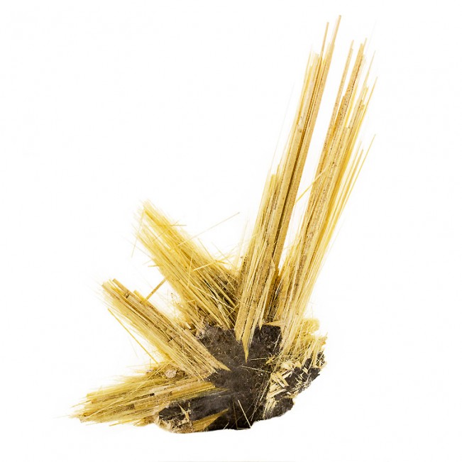 1.8" Crystal Needles of Golden RUTILE Growing from Gray HEMATITE Brazil for sale