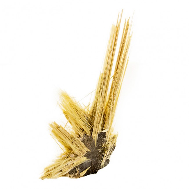 1.8" Crystal Needles of Golden RUTILE Growing from Gray HEMATITE Brazil for sale