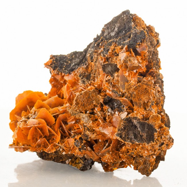 3.7" WULFENITE Reddish Orange Bladed Crystals to 1" Jianshan Mine China for sale