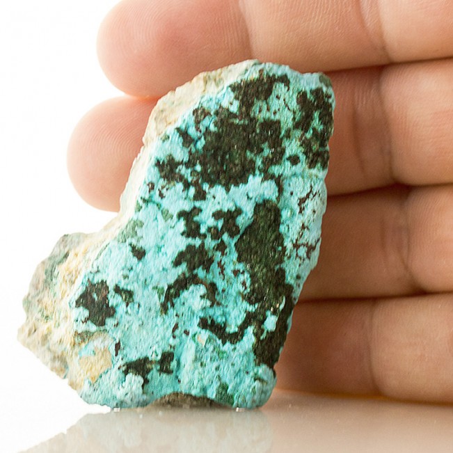 2.5" Turquoise Botryoidal CHRYSOCOLLA w-Green MALACHITE Crystals Congo for sale