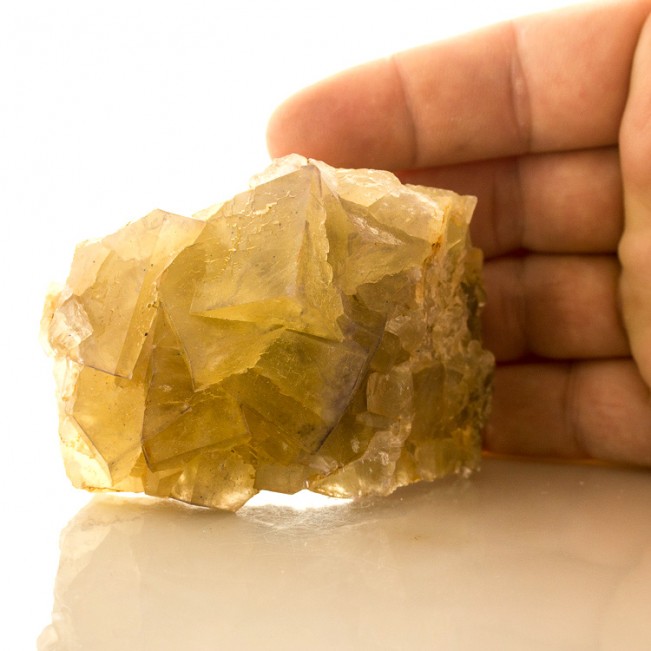 3.5" YELLOW FLUORITE Translucent Cubic Crystals w-Gray Phantoms France for sale