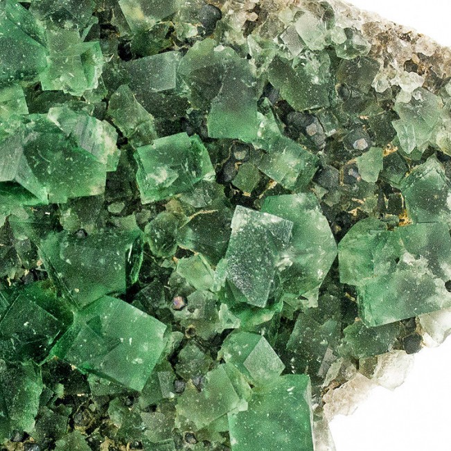 4.7" Gemmy Green ROGERLEY FLUORITE Sharp Shiny Smooth Twin Crystals UK for sale