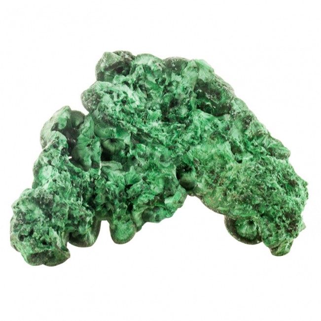 3.5" FIBROUS MALACHITE Dark Green Botryoidal and Crystal Sprays Congo for sale