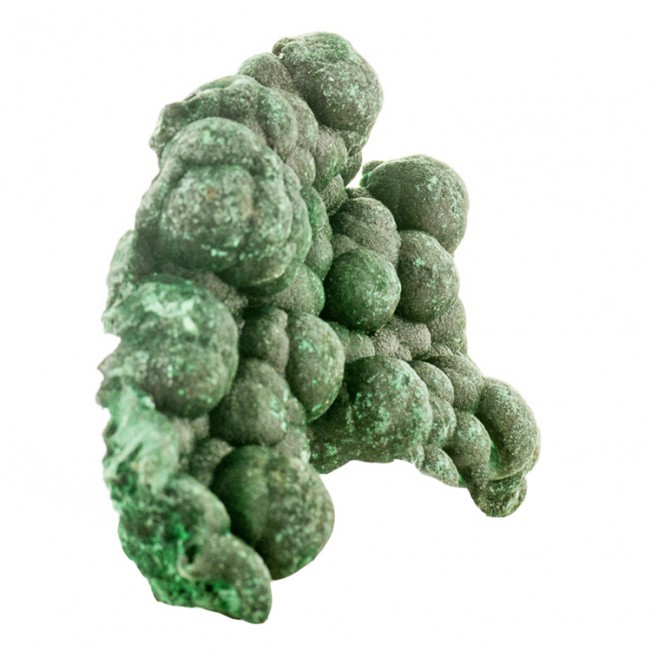 3.5" FIBROUS MALACHITE Dark Green Botryoidal and Crystal Sprays Congo for sale