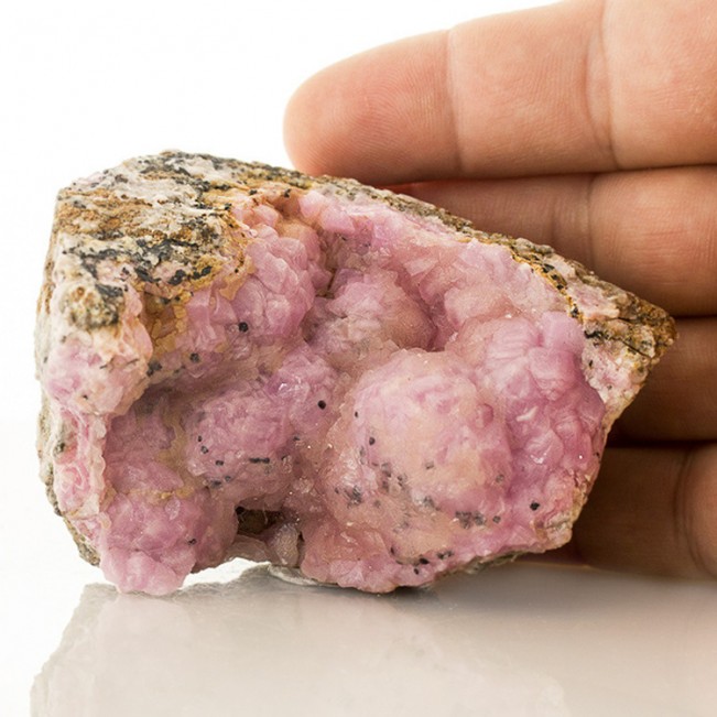 3.3" Bubble Gum Pink COBALTOAN CALCITE Shiny Crystals to 9mm Morocco for sale