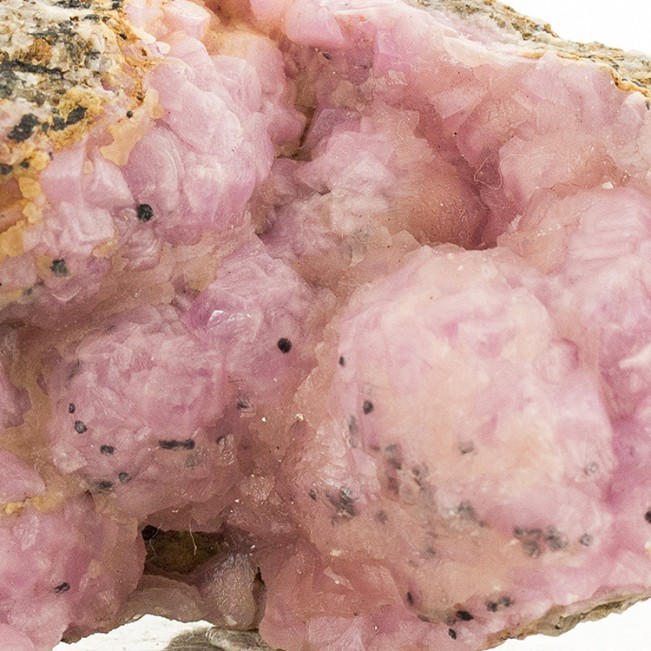 3.3" Bubble Gum Pink COBALTOAN CALCITE Shiny Crystals to 9mm Morocco for sale