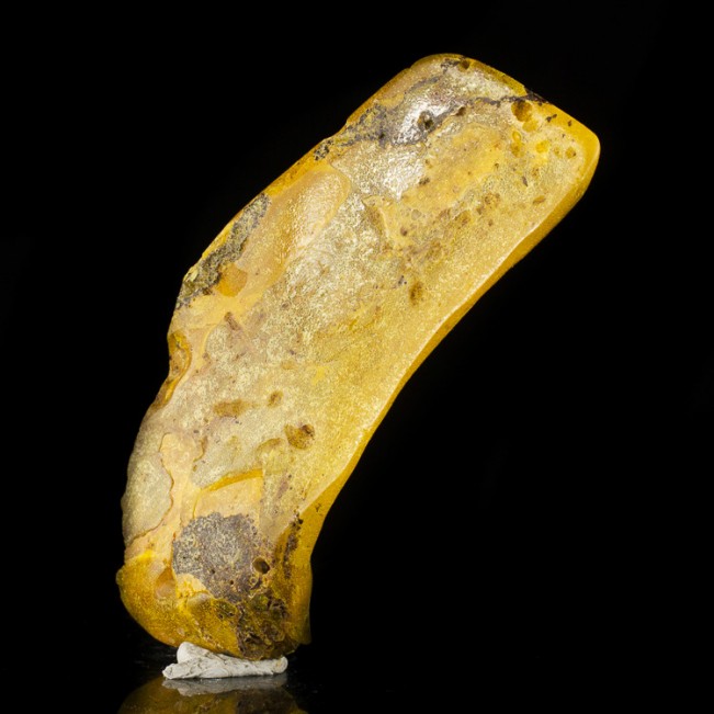 4.3" See Thru Gem Golden AMBER w-Insects in Fossil Tree Sap Madagascar for sale