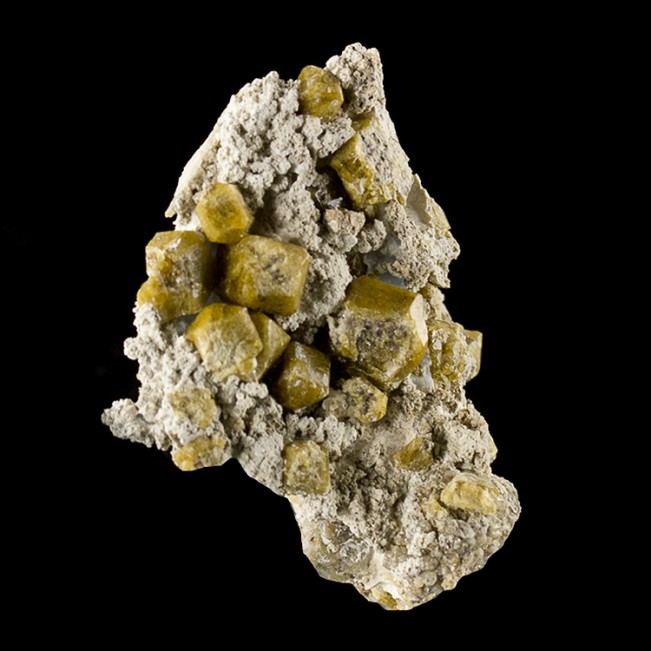 2.4" Shiny Olive Brown VESUVIANITE Crystals in Matrix Lake Jaco Mexico for sale