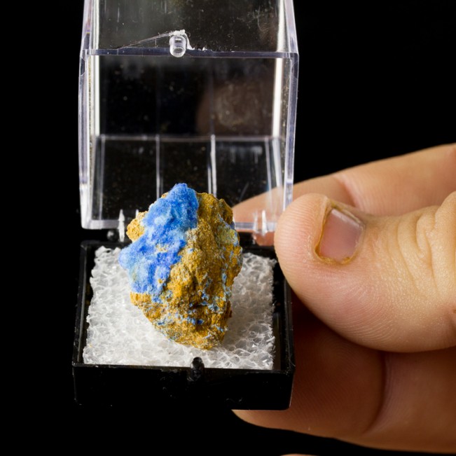 1" Electric Blue CYANOTRICHITE Fuzzy Hair-Like Crystals Grand View M AZ for sale