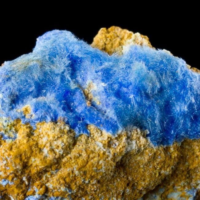 1" Electric Blue CYANOTRICHITE Fuzzy Hair-Like Crystals Grand View M AZ for sale