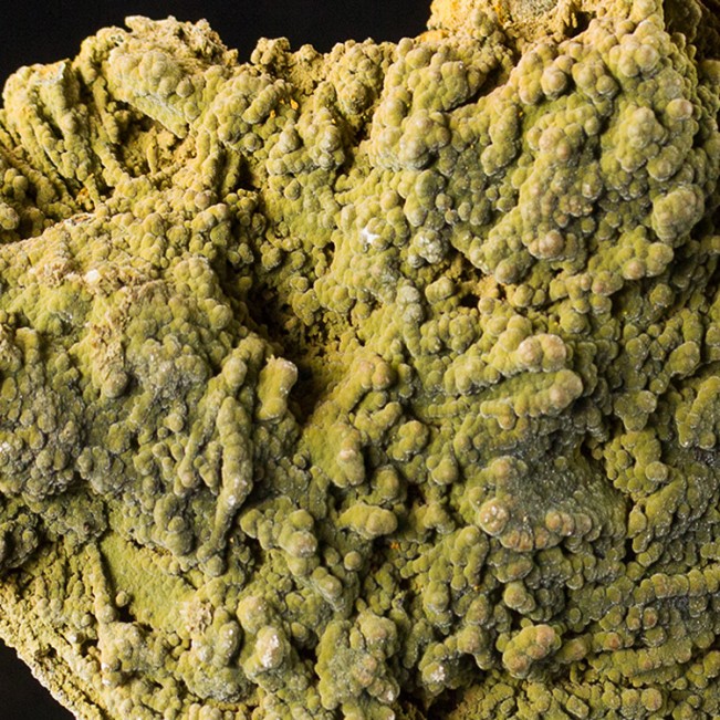 5" DarkGreen Botryoidal MOTTRAMITE Sparkly Crystal Mounds Ojuela Mexico for sale