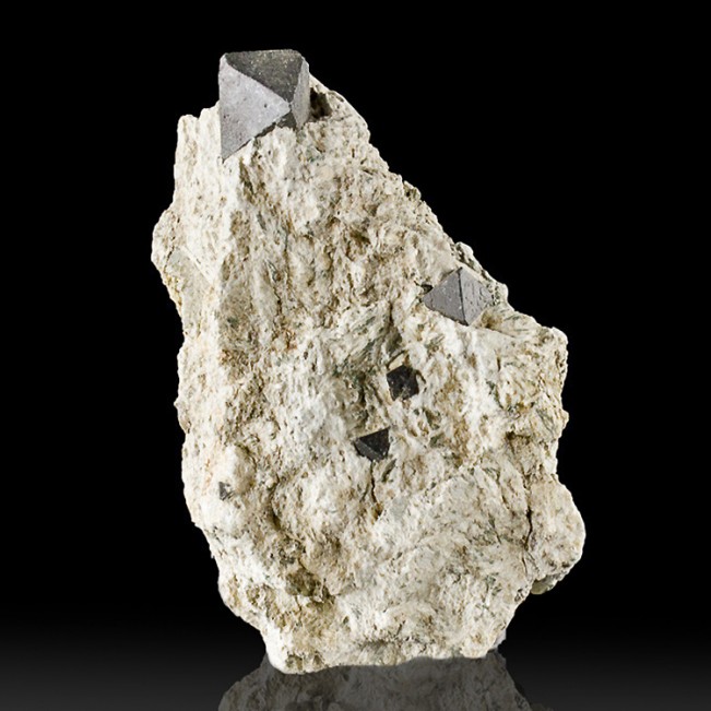 3.6" Black MAGNETITE 5 Octahedral Crystals to .8" in Matrix Australia for sale