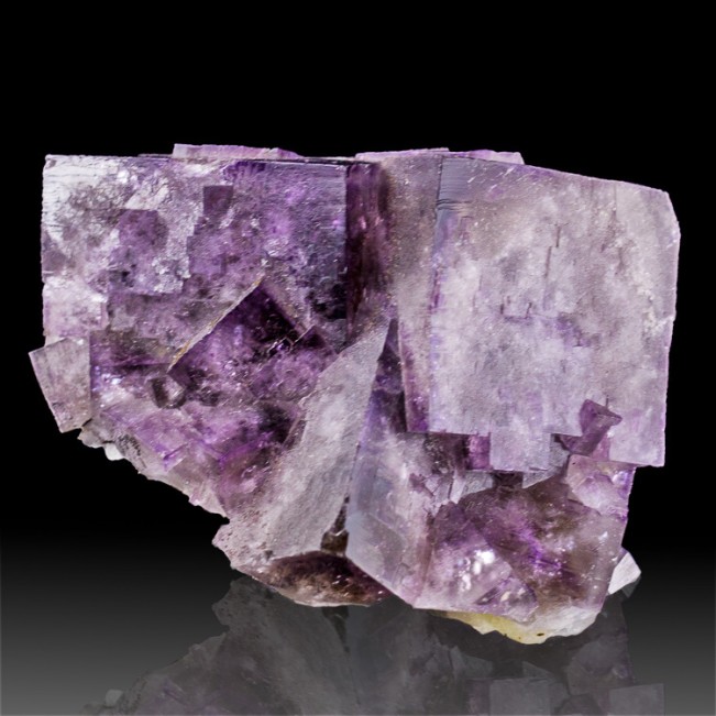 3.1" Sharp Cubic PURPLE FLUORITE Crystals to1.5" Greenlaws Mine England for sale