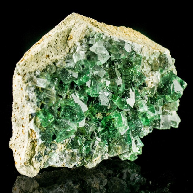 5.1" Glassy Wet-Look Blue Green FLUORITE Crystals +Galena Rogerley M UK for sale