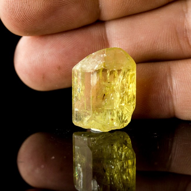 .9" Rich GOLDEN APATITE Gemmy Crystal Sharp Lustrous Termination Mexico for sale