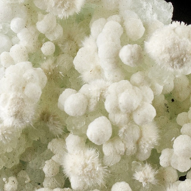 4.4" Smooth White GYROLITE Crystal Balls on Light Green Prehnite India for sale