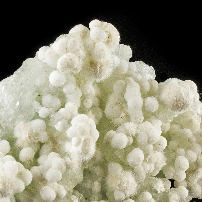 4.4" Smooth White GYROLITE Crystal Balls on Light Green Prehnite India for sale