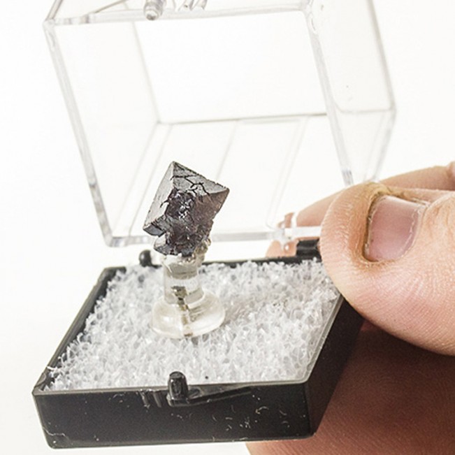 11mm MetallicSilverBlack Octahedral CUPRITE SharpSingle Crystal Siberia for sale