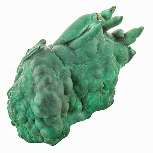 3.5" Saturated Green Drippy MALACHITE STALACTITES w-Holes in Tip Congo for sale