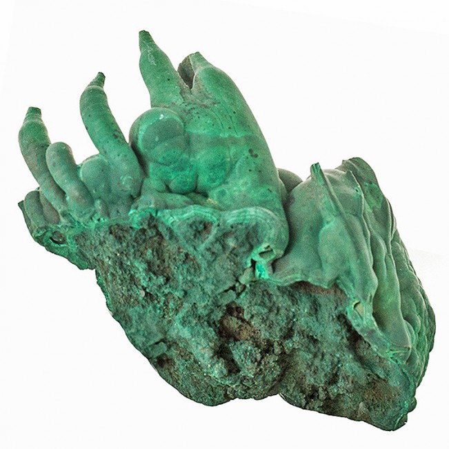 3.5" Saturated Green Drippy MALACHITE STALACTITES w-Holes in Tip Congo for sale