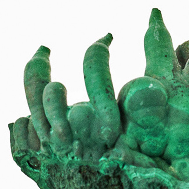 3.5" Saturated Green Drippy MALACHITE STALACTITES w-Holes in Tip Congo for sale