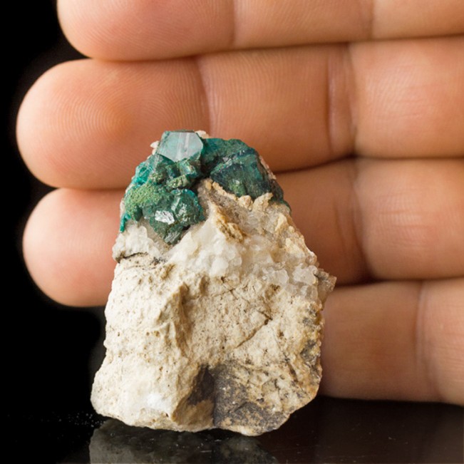 1.9" Dark Green Sparkling Gemmy DIOPTASE Crystals AltynTyube Kazakhstan for sale