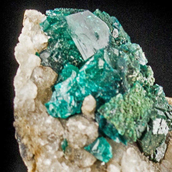 1.9" Dark Green Sparkling Gemmy DIOPTASE Crystals AltynTyube Kazakhstan for sale