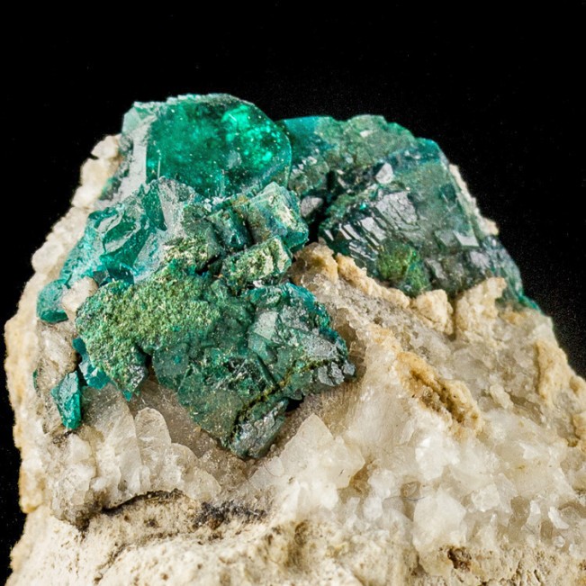1.9" Dark Green Sparkling Gemmy DIOPTASE Crystals AltynTyube Kazakhstan for sale