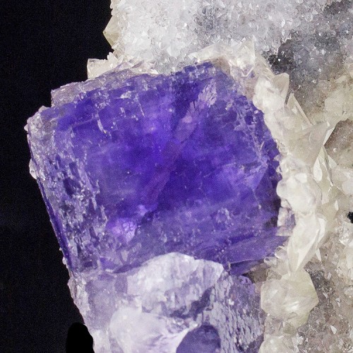 4" Violet Purple FLUORITE with Clear CALCITE ...