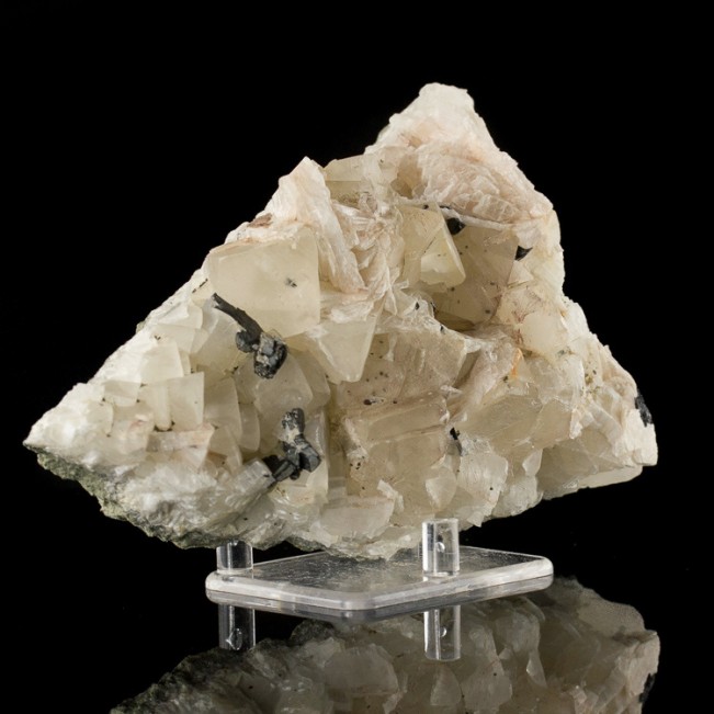 6.4" Black BABINGTONITE Crystals on White Barite+Calcite Massachusetts for sale