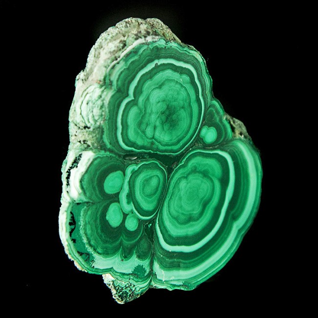 2.2" MALACHITE SLICE Polished Bulls Eyes Dark+Light Green Banding Congo for sale