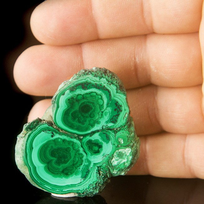 2.2" MALACHITE SLICE Polished Bulls Eyes Dark+Light Green Banding Congo for sale