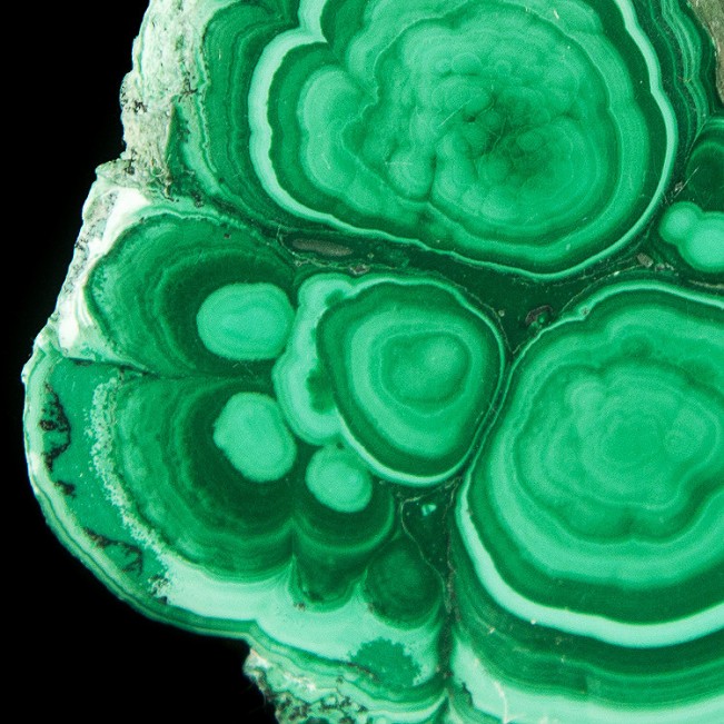 2.2" MALACHITE SLICE Polished Bulls Eyes Dark+Light Green Banding Congo for sale