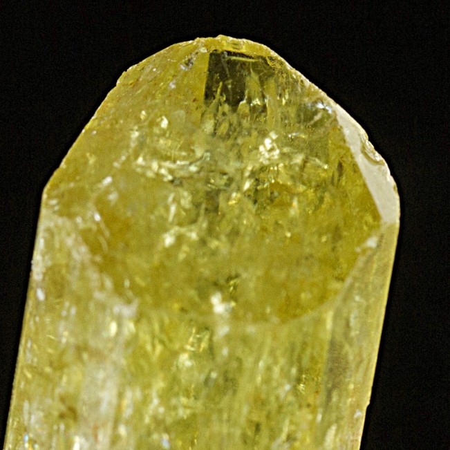 .9" Sharp Lustrous Gemmy Lemon GOLDEN APATITE Terminated Crystal Mexico for sale