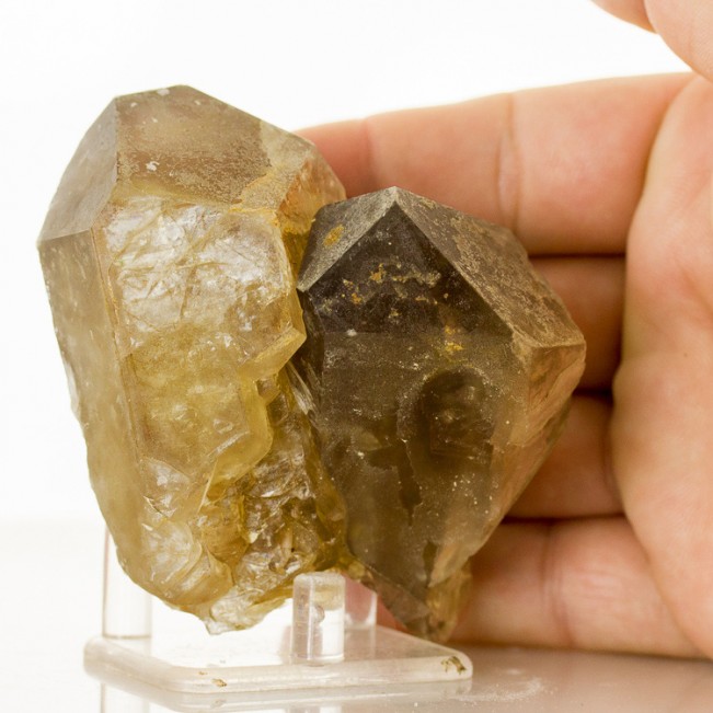 3.8" DeepGolden FRENCH BARITE Sharp Twin Gemmy Fine Terminated Crystals for sale