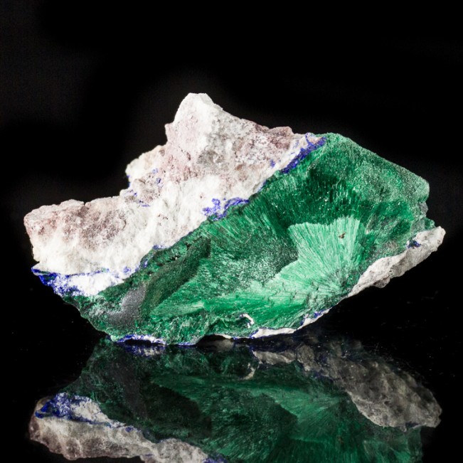 1.9" Radiating Green Acicular MALACHITE Crystals with Azurite Milpillas for sale