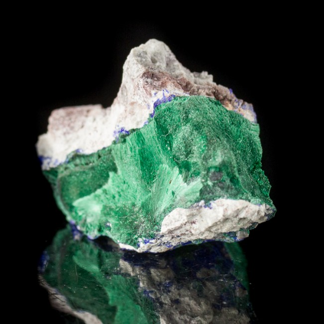 1.9" Radiating Green Acicular MALACHITE Crystals with Azurite Milpillas for sale