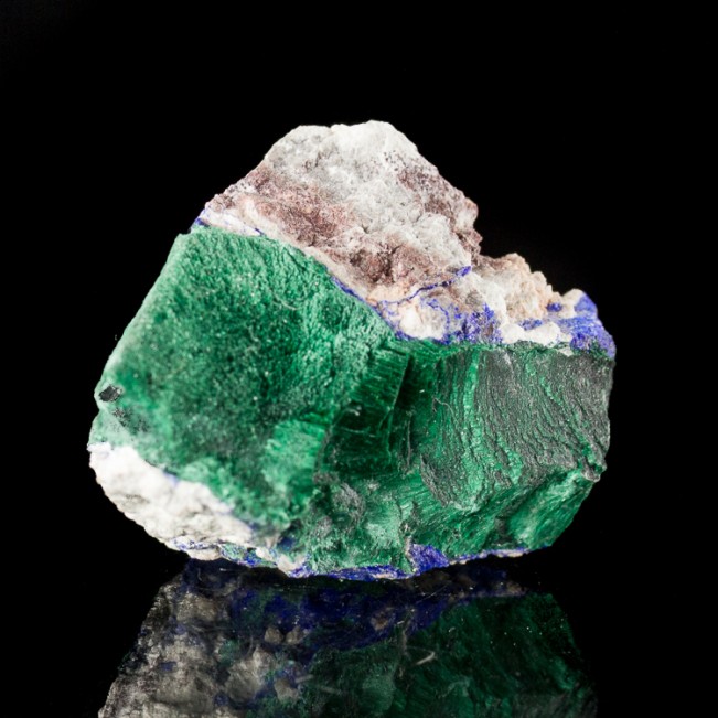 1.9" Radiating Green Acicular MALACHITE Crystals with Azurite Milpillas for sale