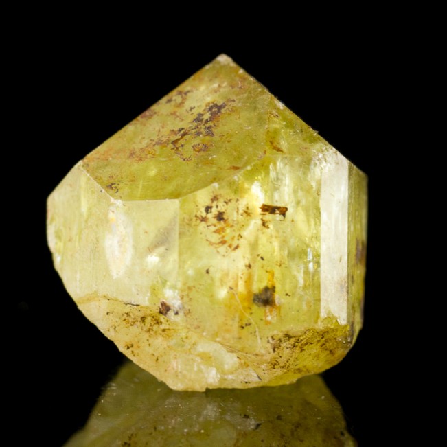 1.2" Sharp Lustrous Gemmy GOLDEN APATITE Fat Terminated Crystal Mexico for sale
