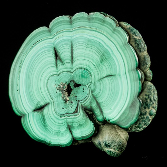 2.3" Bulls Eye MALACHITE SLICE Light & Dark Green Bands Polished Congo for sale