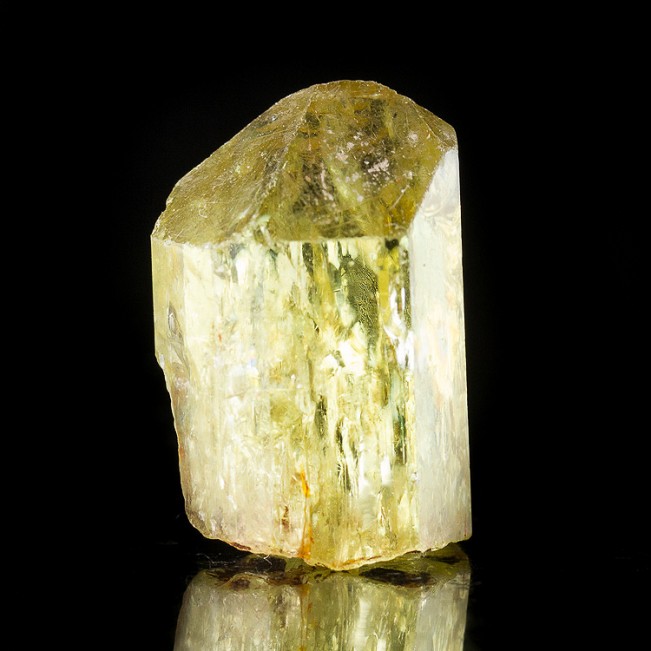 .9" Rich GoldenYellow APATITE Terminated Crystal Wet-Look Luster Mexico for sale