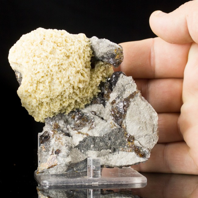 3.8" Hemisphere of Bone White BARITE Crystals w-Sphalerite Elmwood TN for sale