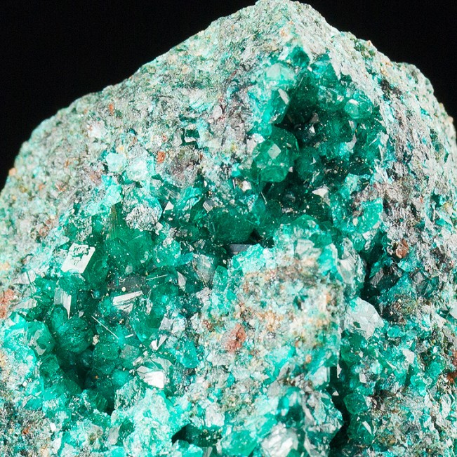 1.7" Wet-Look DarkGreen Gem DIOPTASE Crystals to 5mm Terminated DRCongo for sale