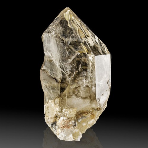 4.1" Reflective Faces ELESTIAL Jacare QUARTZ ...