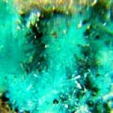 Aurichalcite