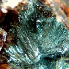 Gormanite